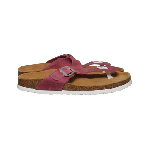 Salamander flip flops - salamander,,